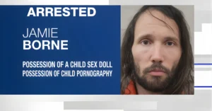 Roblox Programmer Arrested